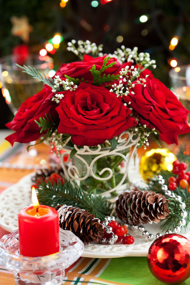 flowers  / lively flowers 