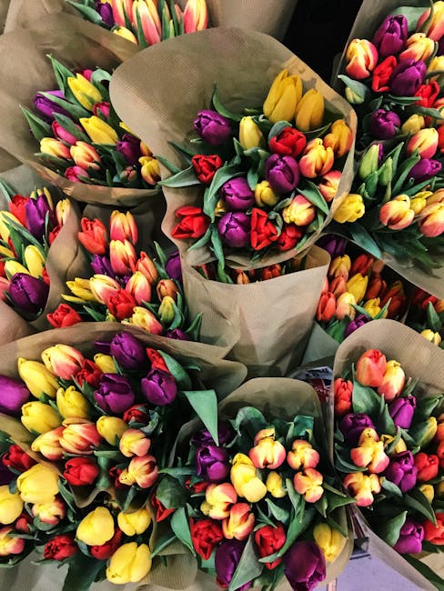Multiple bouquets of fresh tulips in vibrant colors including yellow, red, purple, pink, and orange, wrapped in brown kraft paper and arranged on a dark surface. The tulips' petals are smooth and slig