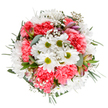 Celebrate the arrival of brighter days with this gracefully crafted bouquet, a true reflection of Barkingside's local charm and floral expertise. The composition, captured from above on a clear white background, is a luminous assembly of crisp white daisies with sun-bright lime centers, nestled harmoniously among ruffled coral-pink carnations. Wisps of gypsophila flutter like soft clouds throughout, imparting a dreamy, uplifting effect akin to spring mornings wandering Fairlop Waters. Tiny buds of blush-pink alstroemeria and delicate touches of purple peek from the interplay of blooms, lending depth and hinting at blossoms yet to open-a thoughtful nod to Barkingside's continual renewal. The lush backdrop of eucalyptus and dark green foliage provides both structure and an undercurrent of subtle earthy fragrance, grounding the bouquet with balance and serenity. This arrangement radiates with a tranquil exuberance-perfect for marking anniversaries, birthdays, or spontaneous gestures of care. Whether delivered to a home off Cranbrook Road or presented in a local Barkingside café, the bouquet's palette and soft textures promise moments of shared happiness and heartfelt warmth, embodying the devotion of skilled florists to both their craft and their community.
